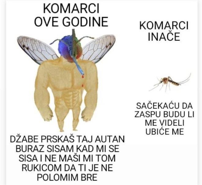 Serbian meme